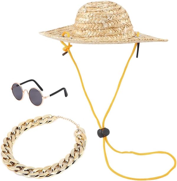Pet Halmhat Sommer Solhat Hund Hat Klassisk Retro Rund Kat