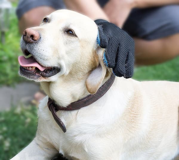 Kattehårs Handske, Hund - Massage Handske til kæledyr - Perfekt til Hunde