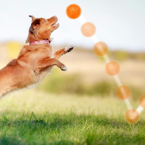 3 stk. Hundelegetøjsbolde, Hundepipbolde, Hundekiggebold, Pool Flydelegem