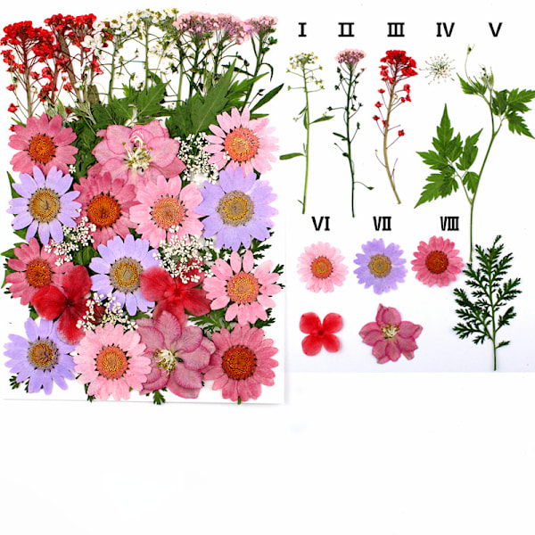 Torkade blommor prägling kombination förpackning Pressade blommor