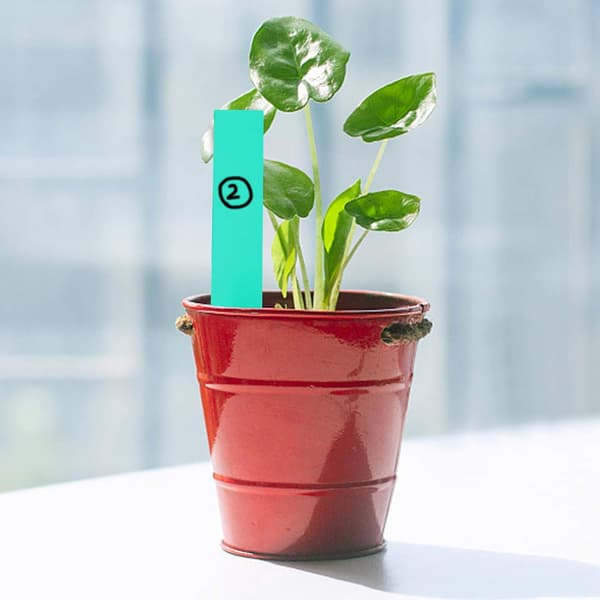100 st plastväxtmärken, gröna plastträdgårdsmärken 10x2cm