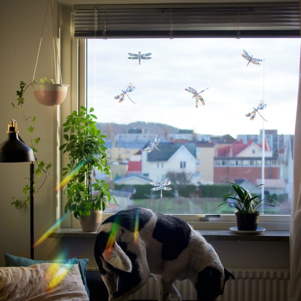 Dragonfly Anti-Kollision Vindueklistermærker - Glas Alert Prisma