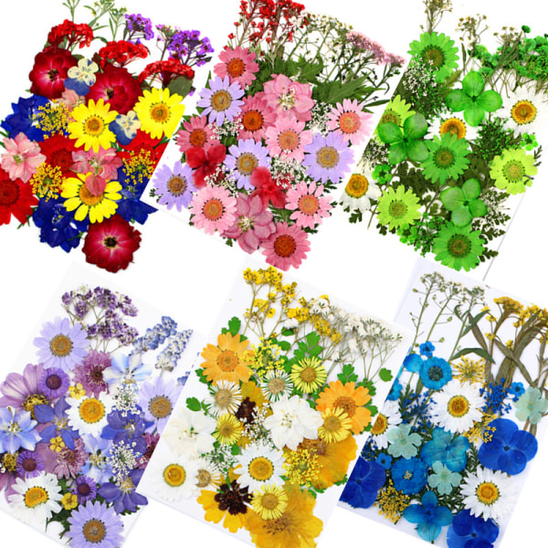 6st torrblommapräglingskombinationspaket pressad blomma