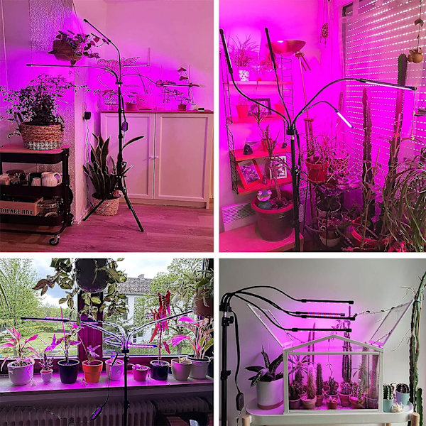 80W LED-vekstlys med stativ for innendørs planter, plantelys