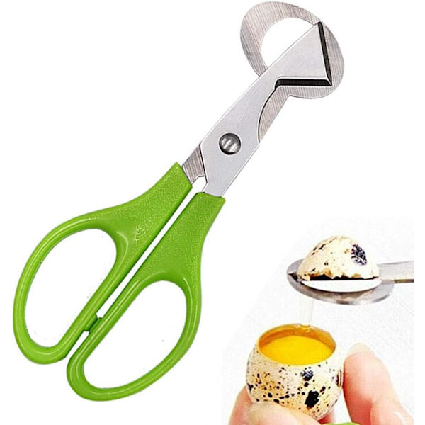 Egg saks i rustfritt stål, for vaktelegg, duegg