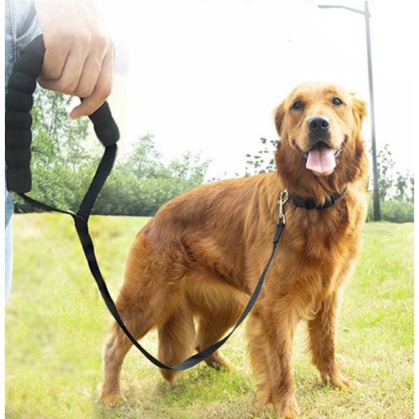 Hundetreningshalsbånd med lang pelsfôret erme for små til store hunder