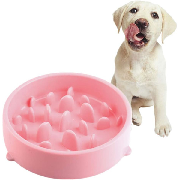 1 stk Anti Glutton Hundebolle Anti Glutton Kat Hundebolle Interaktiv