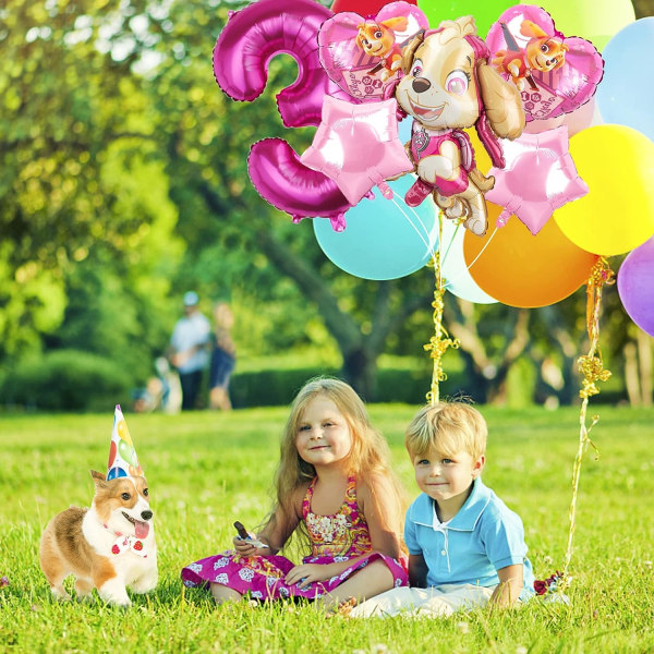 Syntymäpäiväilmapallo Vaaleanpunainen Ilmapallo Paw Patrol -ilmapallo Tyttöjen Syntymäpäivä