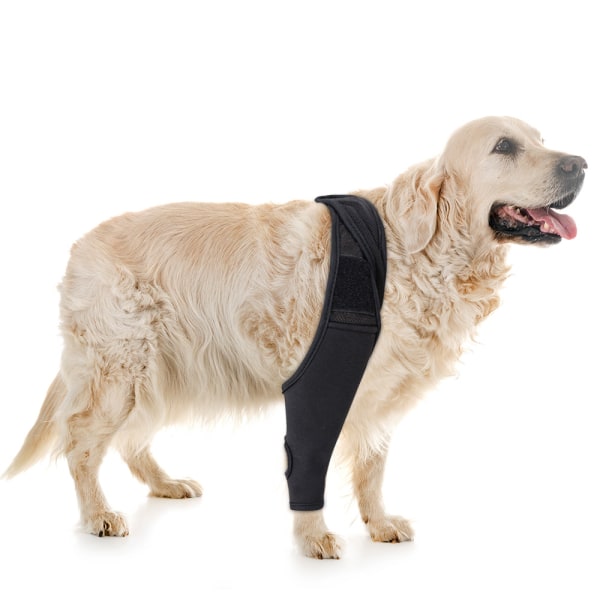 Benstøtte til hund efter benoperation, brud, fiksering, beskyttelse af ben