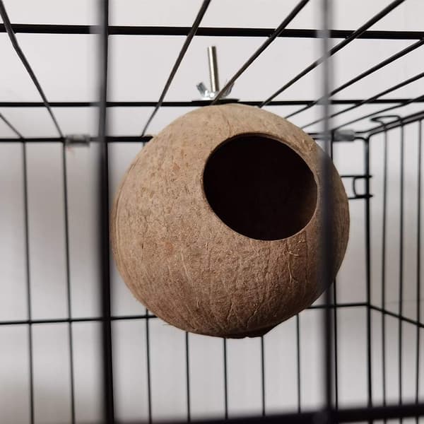Hamster Burfuglhus Kokosnøtt Hus, Kokosnøttskall Kan Festes