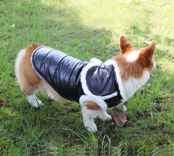 Vanntett Hundevinterjakke, Varmt Hundevest