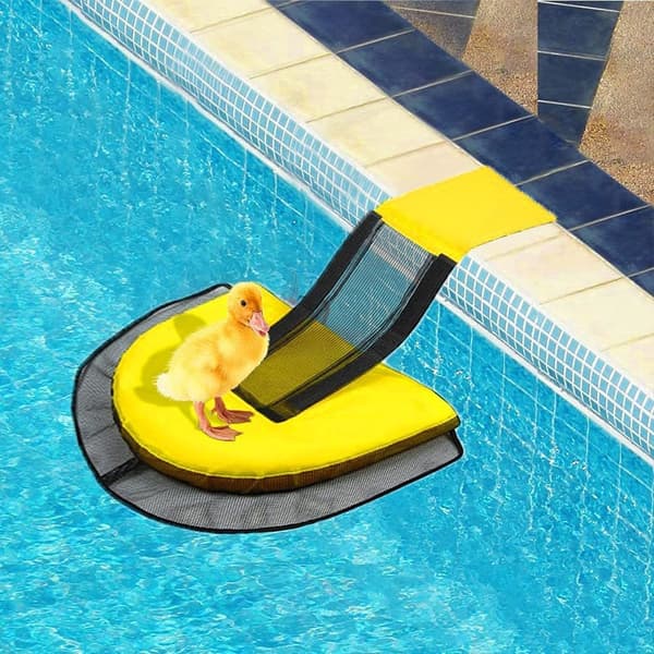 Pool Escape Net til små dyr - Red dine kæledyr i poolen