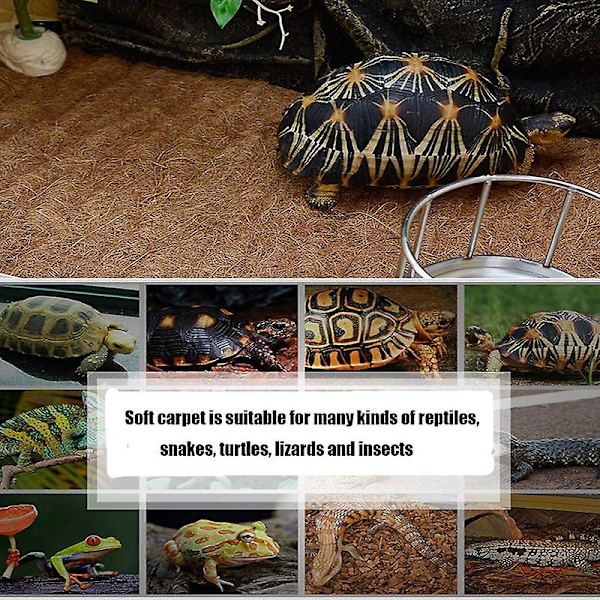 Reptilmåtte Kokosfiber Skildpadde Måtte Måtte til Kæledyrs Terrarium Foring