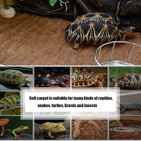 Reptilmatte Kokosfiber Skilpaddematte Matte for Terrariumforing for kjæledyr