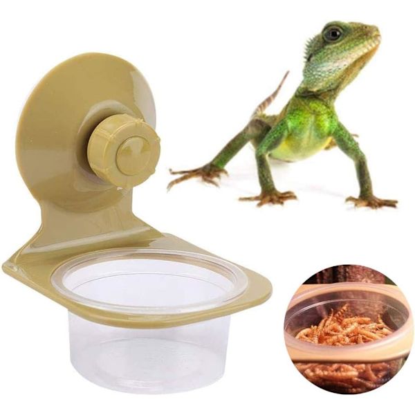 Liskojen riippuva ruokailupöytä, kilpikonnan tarvikkeet, gekko
