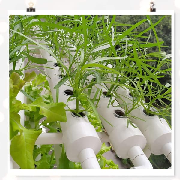 Plast Hydroponiska Korgar Återanvändbara Hydroponiska Planteringskrukor -