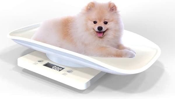 Multifunksjons Digital Dyreskala, Stor LCD-Skjerm, 10kg