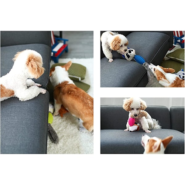 Pivdyr Plys Hundelegetøj Til Mellemstore Hunde Hvalp, 3 I 1 (Pivdyr Udstoppet Hoved, Gummikrop Og Knasende Papirhale) Holdbare Hundetyggelegetøj Kæledyr Legetøj (r