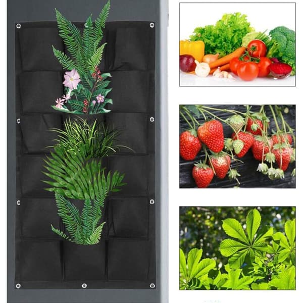 Veggplanterpose Hengeplanterpose Plantepose Vertikal Veggplanter