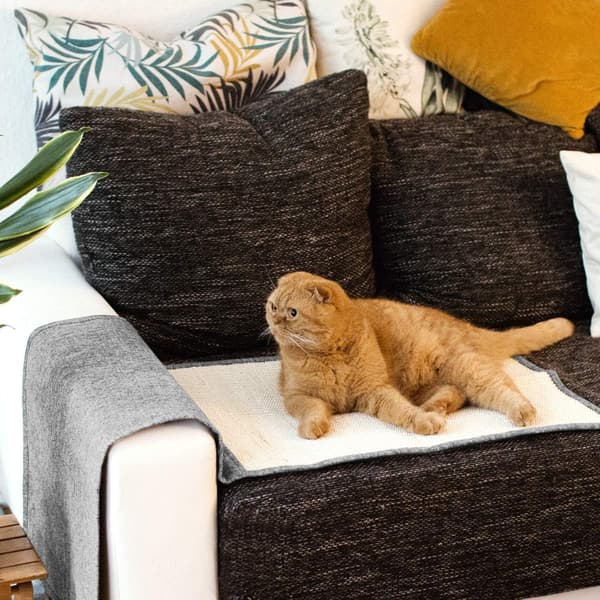 Katt Klømatte - Beskyttelse Sofa Armstol Møbler Gulv