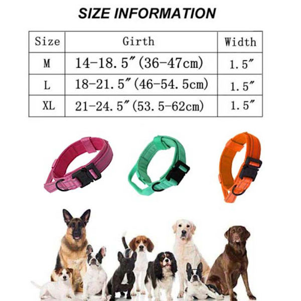 Collar pet deals