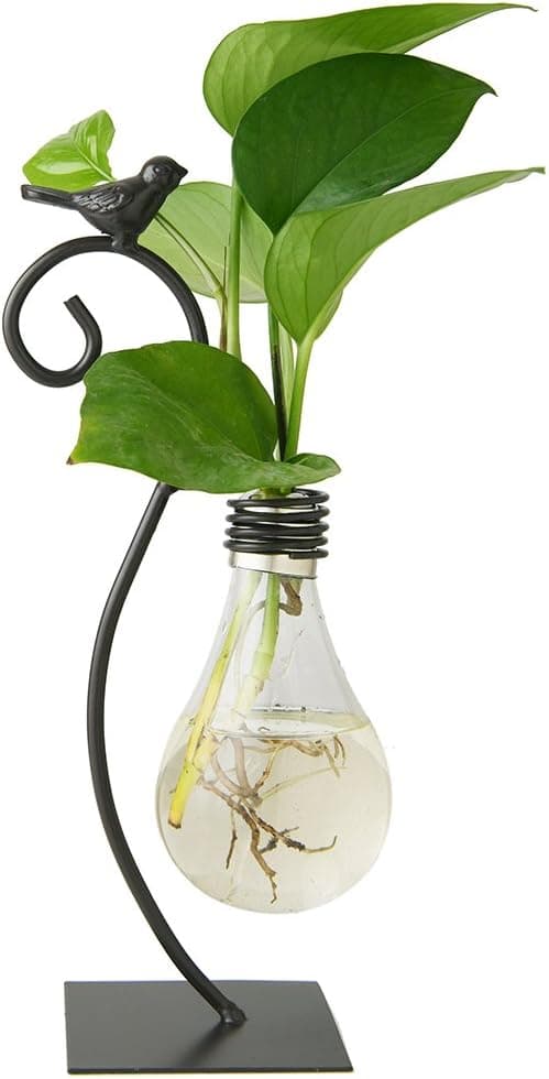 Skrivbordsvas i glas för hydroponisk odling, lökvas med stativ för