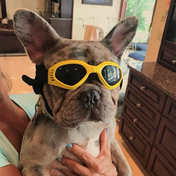Hundesolbriller Kæledyrsbeskyttelsesbriller Vandtæt UV-beskyttelse
