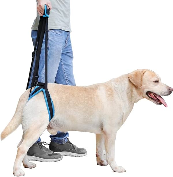 Lyftstöd för hundar, blå (bensomkrets 25-35 cm) - A
