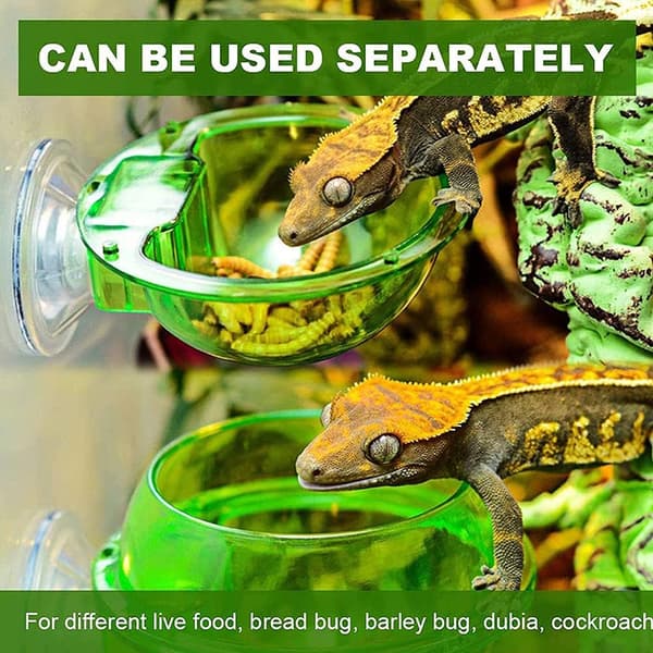 2-pack Reptilmatare, Reptilsugkoppar, Reptilvattenkopp