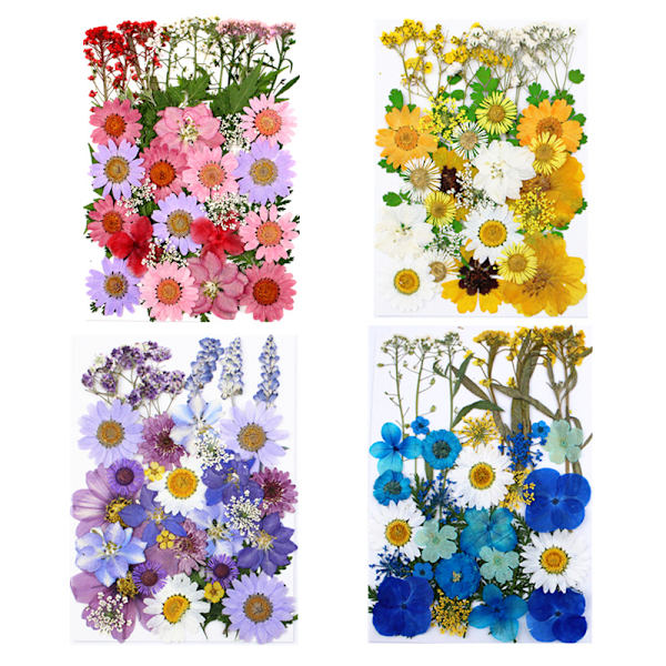 Torkade blommor prägling kombination förpackning Pressade blommor