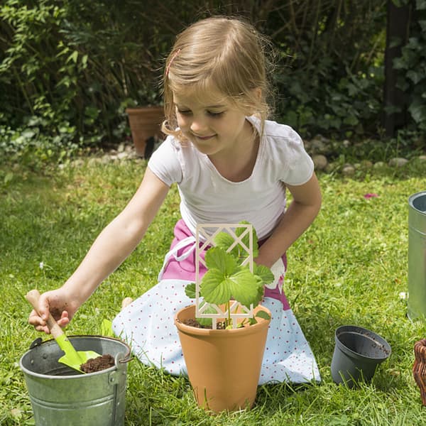 3 små trægitter til indendørs planter, velegnet til