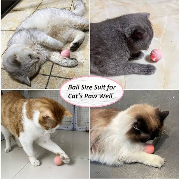 JINGSHUBO Interaktiv Katt Leksak - Smart USB Laddningsbar Kattboll
