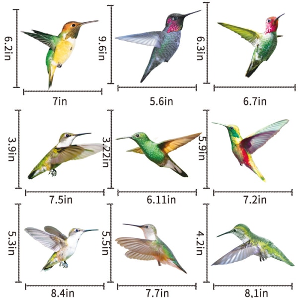 2 kpl 9 Lintua Suurikokoinen Kolibri Ikkuna Kolibri