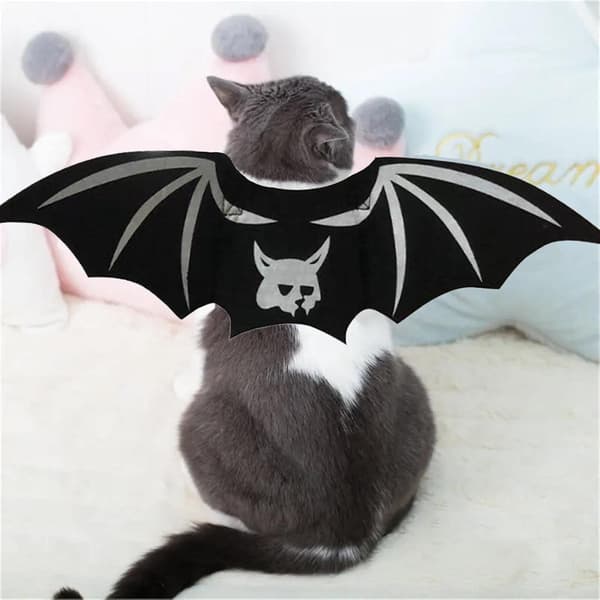 Halloween Kattekostumer - Sød Unik Halloween Kattekostume