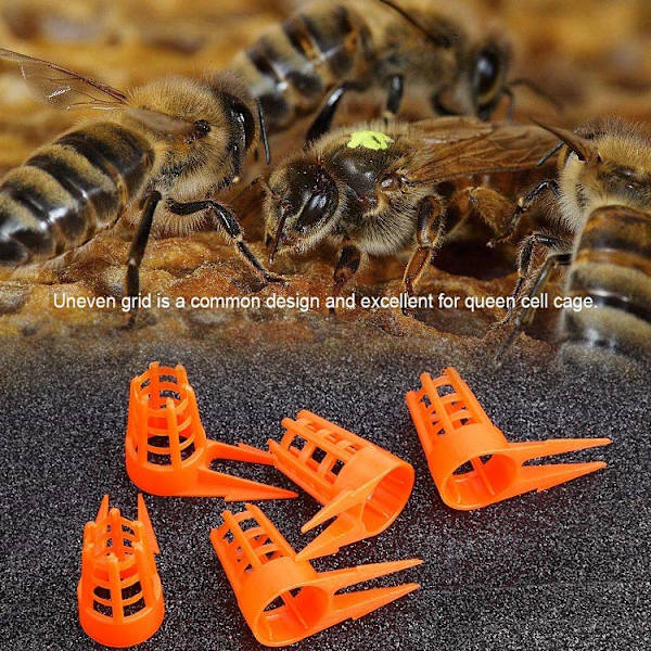 30 st. öppna split stinger drottningburar bords skydd