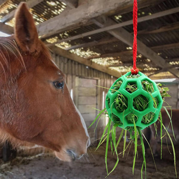 1 st Hayboll-leksak för hästar, hängande bollmatare