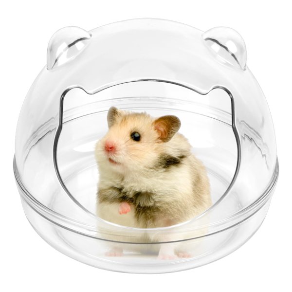 1 hamster sandsandbadkar