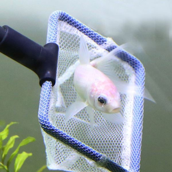 5 i 1 Akvarium Rengøringskit Fiskestang + Rake + Skraber + Gaffel +
