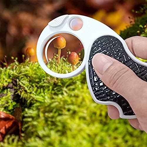 Lommeforstørrelsesglass med belysning - Diameter 43 mm, klappbar linse