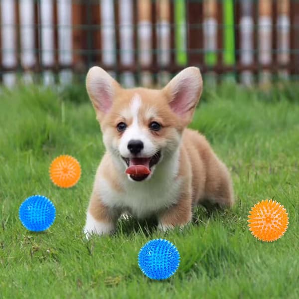 4 st Hundbollar, Hund Igelboll Kvittrande Hundbollar, Valp