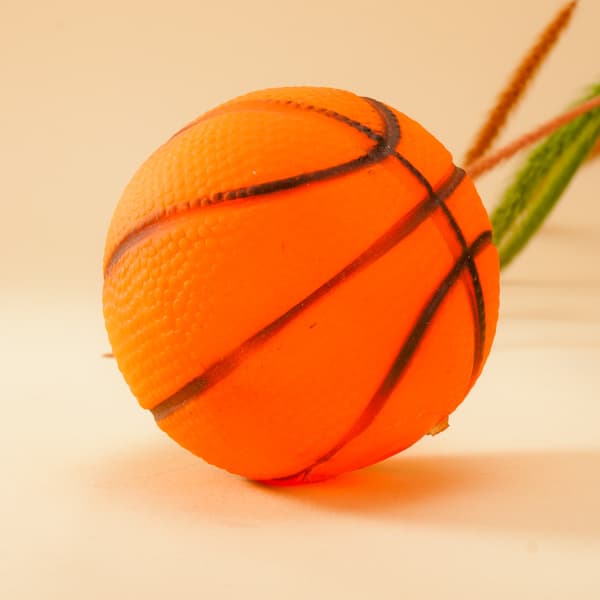 3-pack interaktiv hundleksak, pipande basketboll, hållbar