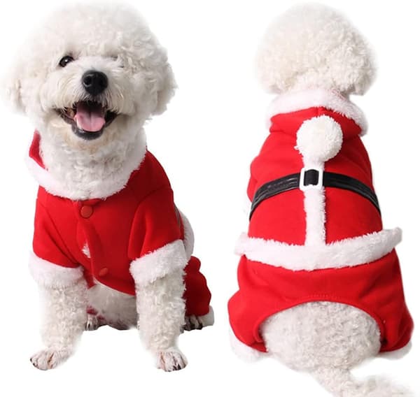 Julekostumer til kæledyr - Katte og Hunde - Rød Julemandskostume