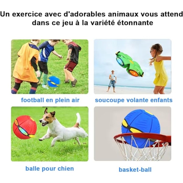 Ball leksak, flygande tefat PET boll interaktiv leksak hund katt, hund