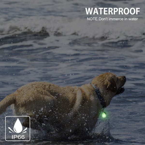 2-pak Vanntette LED-hunde lys med USB-lading, for natt