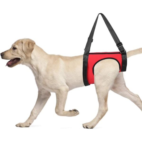 Pet Vest (Rear Leg L), Dog Support Harness Pet Walking Aid