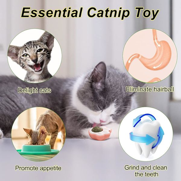 Kattmynta Boll Inomhus Katt Leksak, 7*8*4CM Kattmynta Boll Kattmynta Boll (Pulver