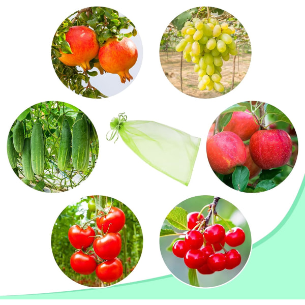 Fruktskyddspåse 60 delar (mossagrön), vindruvsskyddspåse