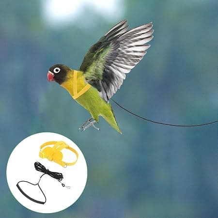 Rope Flight Training för att justera nylon Rope Bird Harness och 0a24 ...