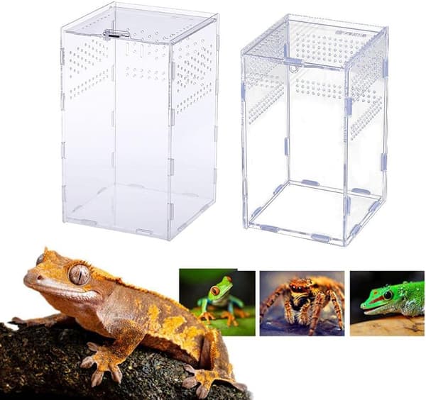 Terrarium för reptiler, insekter, ödlor, ormar, spindlar
