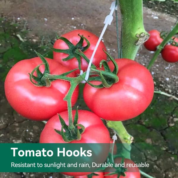 100 växtklättrare, tomatstödsklämmor